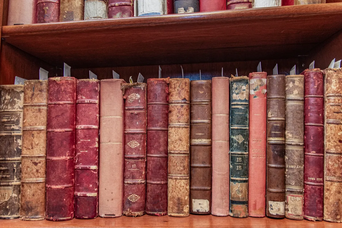 Row of worn leather-bound books on a wooden shelf, the great works on a classical education reading list