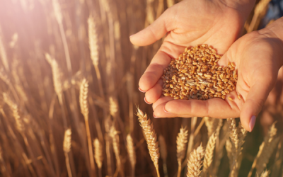 Measuring the Harvest: Is assessment at odds with human flourishing?