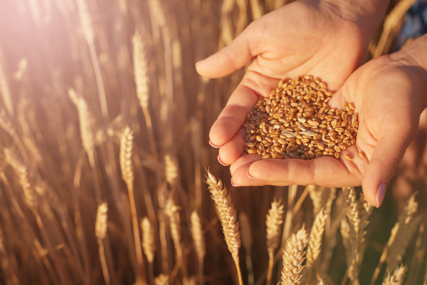 Measuring the Harvest: Is assessment at odds with human flourishing?